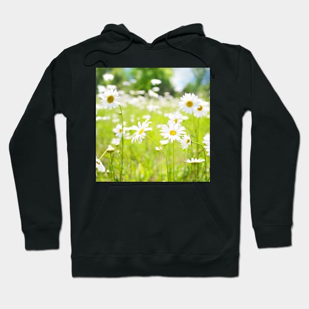 Field of Daisies Hoodie by BK55